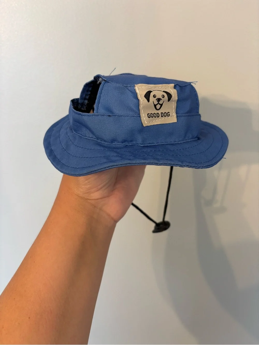 Small dog hat